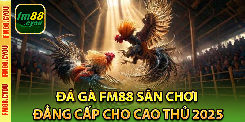 Giới thiệu đá gà Fm88
