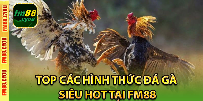 Top các hình thức đá gà siêu hot tại Fm88