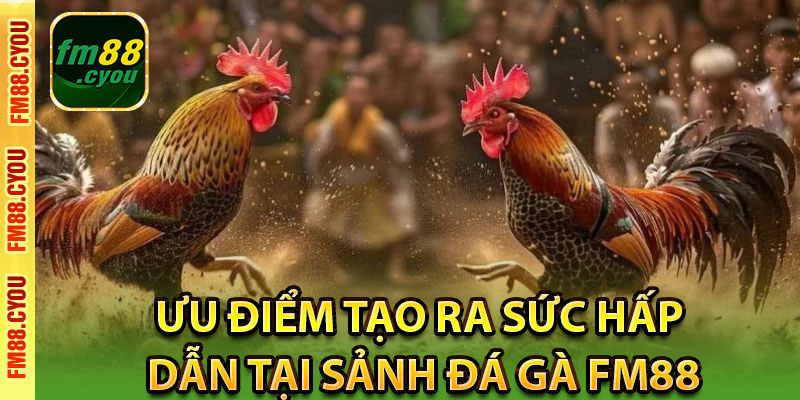 Ưu điểm tạo ra sức hấp dẫn tại sảnh đá gà Fm88